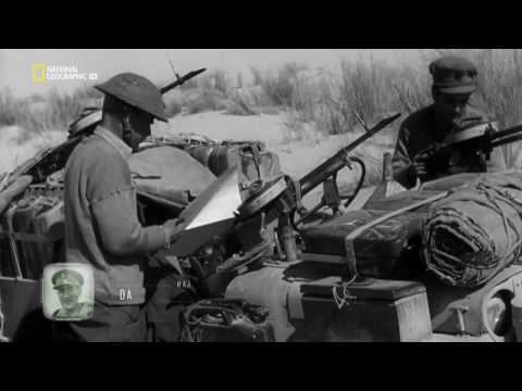 Videó: Világháború Védelmi Kutyái