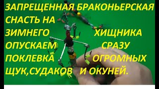 ЗАПРЕЩЕННАЯ БРАКОНЬЕРСКАЯ СНАСТЬ НА ЗИМНЕГО ХИЩНИКА   ХАПУГА, Я В ШОКЕ У МЕНЯ ПОКЛЕВКА ЗА ПОКЛЕВКОЙ.