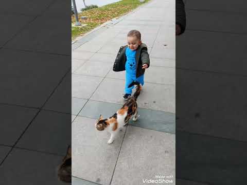 حميدو الولد الشقي