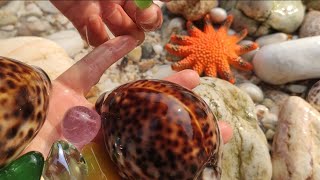 Super clear Pacific waters, storms bring beautiful gemstones and seafood