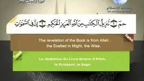 الشيخ مصطفى اللاهوني سورة الجاثية