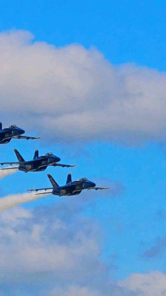 US Navy Blue Angels 2024 National Cherry Festival shorts aviation 