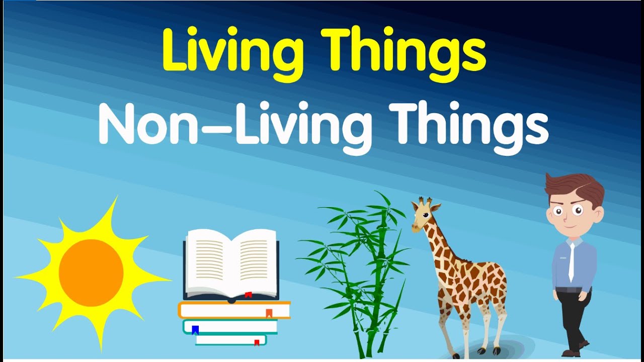 Living and nonliving things | science for kids | AAtoons Kids |