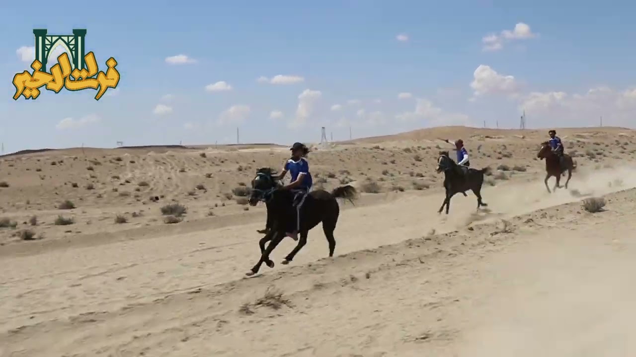 سباق الخيول من جديد في ديرالزور
