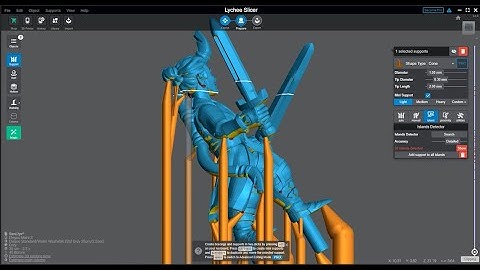 Lychee Workflow from Beginning to End