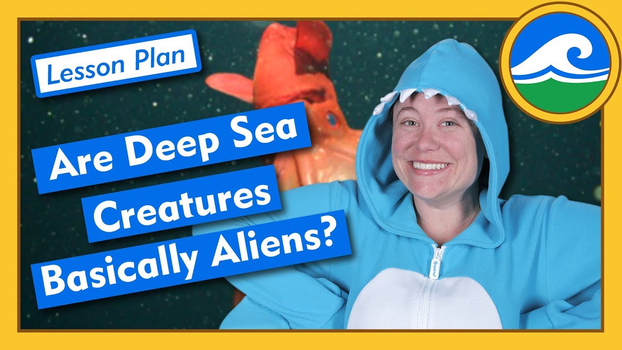 ⁣Are Deep Sea Creatures Basically Aliens? - Lesson Plan