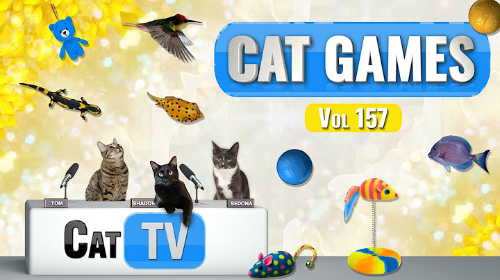 CAT Games | Ultimate Cat TV Compilation Vol 157 | 8 HOURS  🐝🐞🦋🦎🦜🐜🐭🧵