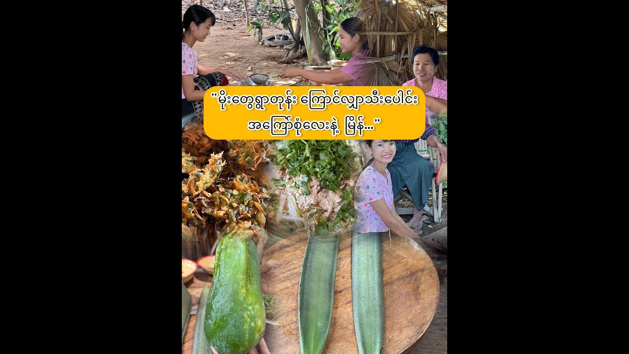 “ကြောင်လျှာသီးပေါင်းကြော် စားဖူးကြလားရှင်…”