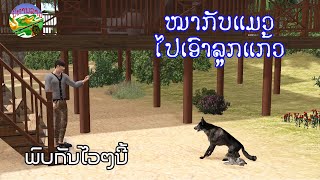 ໝາກັບແມວໄປເອົາລູກແກ້ວ - ພົບກັນໄວໆນີ້