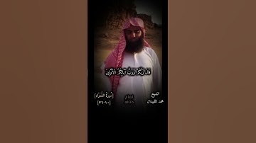 #اجر_لي_ولك#تلاوات#قرآن#راحة#لا_اله_الا_الله#محمد_اللحيدان#تلاوة#الله #راحة_نفسية#صلوا_على_النبي