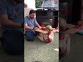Early signs of autism ￼