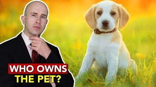 Ex Won't Give Your dog Back? | Animal Ownership | BlackBeltBarrister