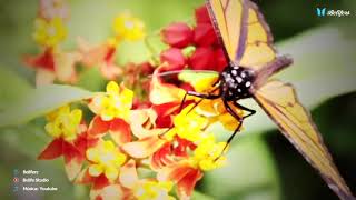 No Perdiste A Nadie Te Perdieron A Ti Recuerdalo Siempre