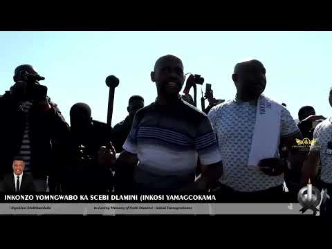 INKONZO YOMNGWABO KA SCEBI DLAMINI (INKOSI YAMAGCOKAMA