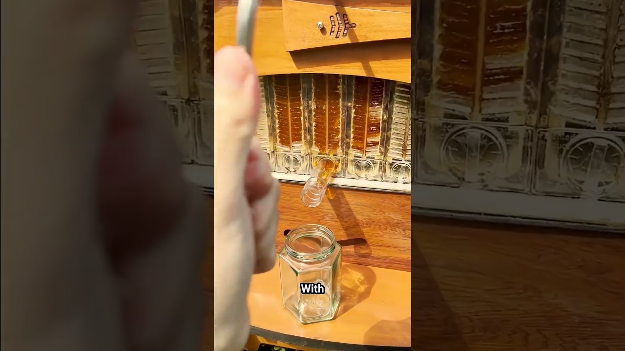 This Beehive Harvests Honey Automatically