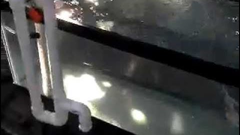 DIY PVC overflow test a.k.a. 7 beers and some pvc