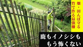 畑・田んぼを守る　竹で作る最強柵！ イノシシ、鹿の悩みとはおさらば！竹の活用法。全て土に還るもので作ります。