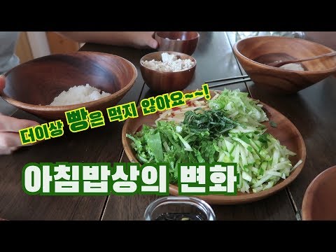 채식요리 추천