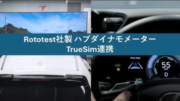 TrueSim連携【東陽テクニカ】