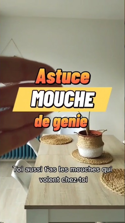 PIÈGE À MOUCHES. 5 LITRES - EVAGRI -    APPIBUSTER 5 Litres avec recharge APPIBUSTER est la barrière