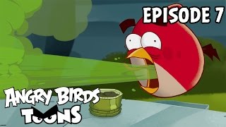 Angry Birds Toons | Gordon Bleugh! - S1 Ep7