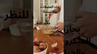 ماهي الفوائد الصحية للبيض معلومات صحتك