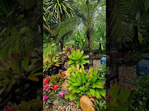 Garden Transformation in
