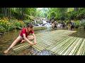 Building a Giant Fish Trap in the Stream During the Flood Season, Bushcraft | Living With Nature