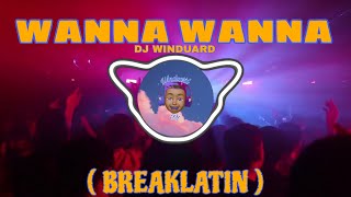 NEW TIKTOK VIRAL MASHUP- WANNA WANNA | DJWINDUARD (BREAKLATIN)