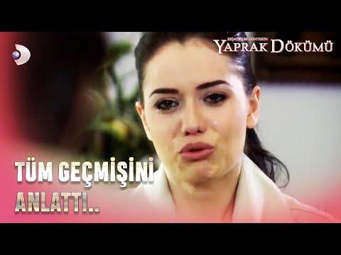 Necla, Ali Sarper'e Her Şeyi Anlattı.. - Yaprak Dökümü 151. Bölüm