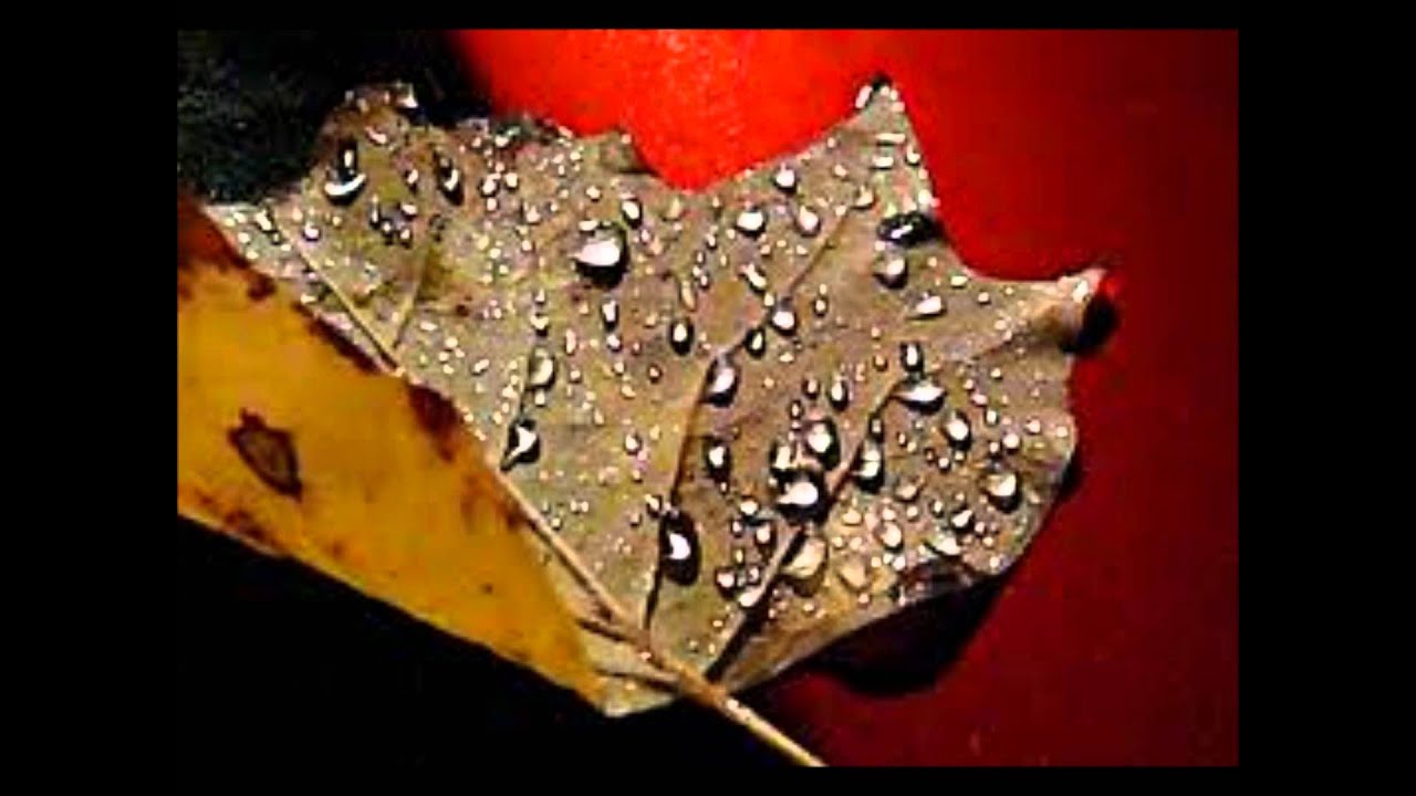Watch Billy Thunder - Drizzle on YouTube Watch Billy Thunder - Drizzle on YouTube