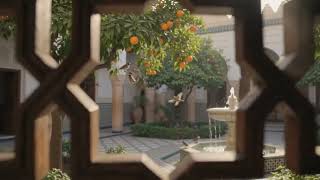 Morning in a Moroccan Riad 🌿 | Fountain, Sparrows & First Light