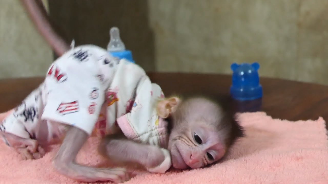 Little Jody Unhappy Wraps Hands To Prevent Sucking .