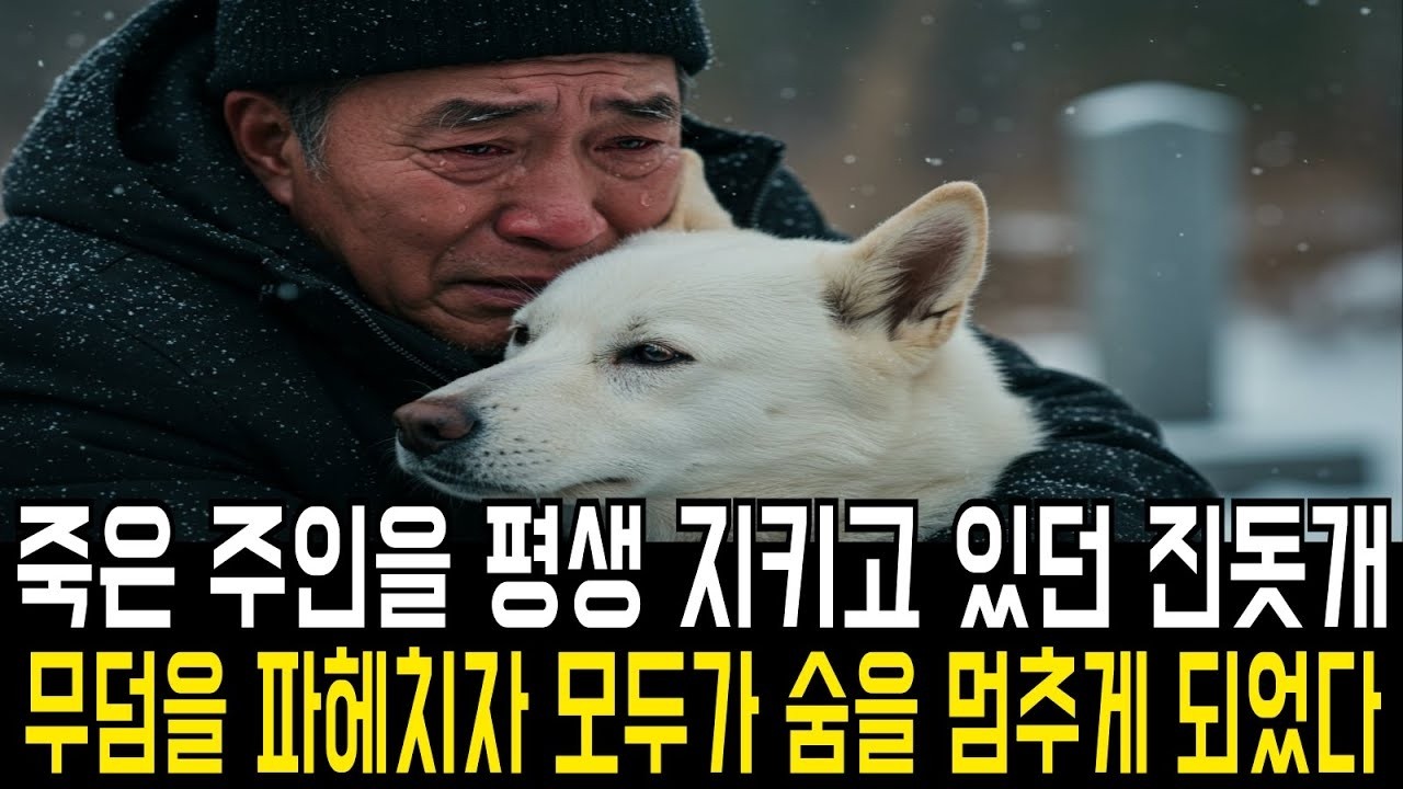 돗개는 주인이 떠난 날부터 단 하루도 무덤 곁을 떠나지 않았습니다  그 무덤을 파헤친 그날   모두가 숨을 멈췄습니다