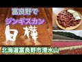 【北海道グルメ】超おすすめ 富良野の白樺にて成吉思汗(ジンギスカン)やっちゃうべ！！からの中富良野町営ラベンダー園へ　激ウマ