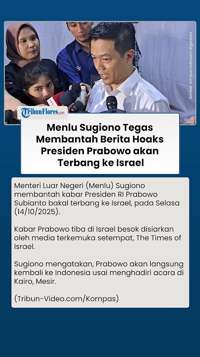 HOAKS ! Menlu Sugiono Tegas Membantah Berita Bohong Presiden Prabowo akan Terbang ke Israel