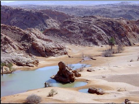 عندما يبدع ابناء الجنوب في تربية الاسماك ودعم الجزائر