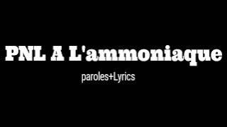 PNL A L'ammoniaque paroles (lyrics)