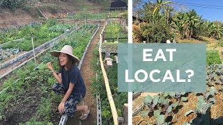Is local food ACTUALLY sustainable?