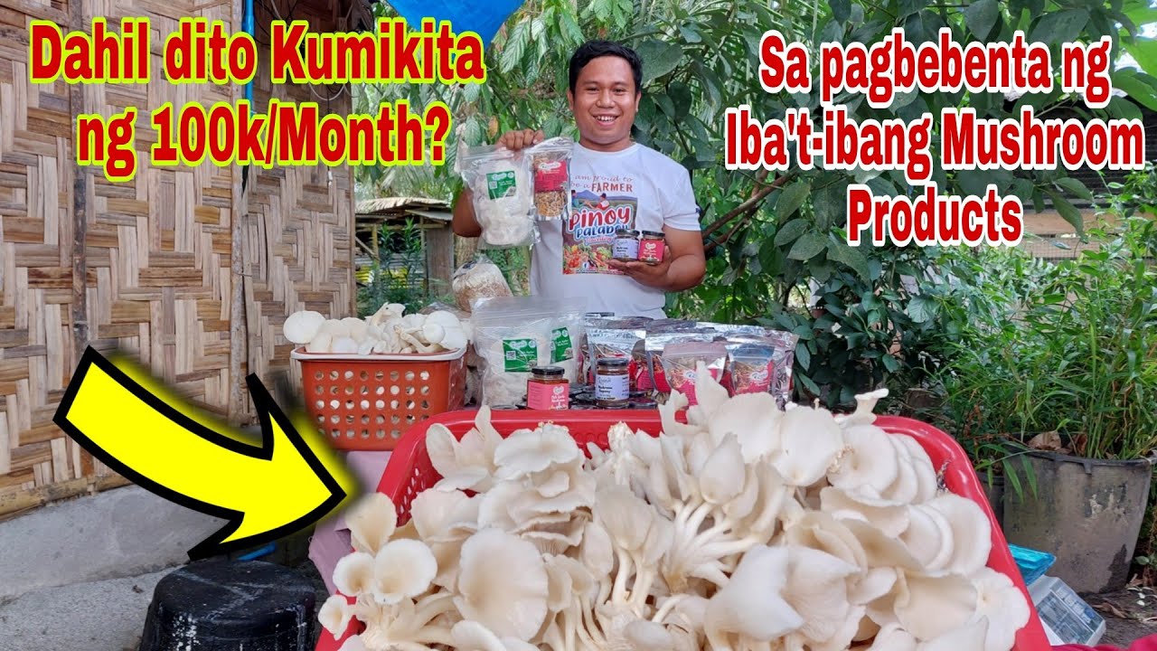 Engineer Mas Malaki pa ang Kinikita  sa Oyster Mushroom Farming -Part 3
