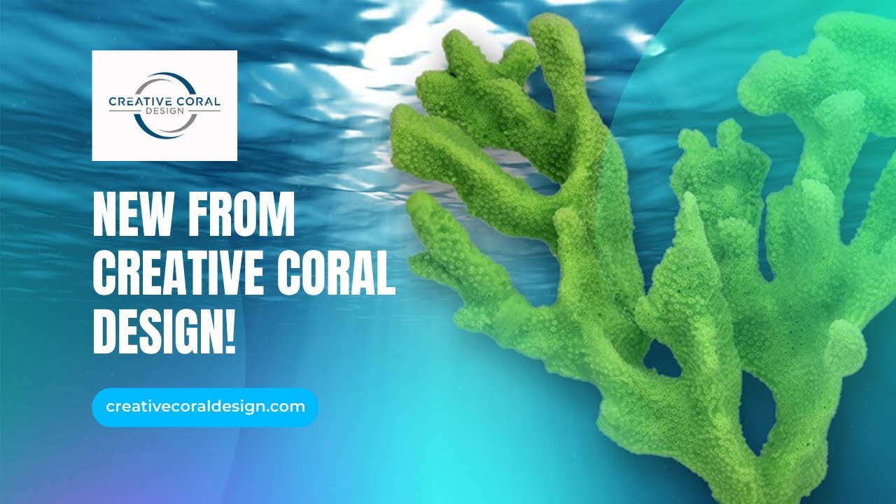Fish Swim Party - Custom Coral Reef Island for your Aquarium | Creative Coral  Design - YouTube