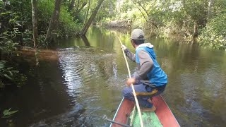 UNTUNG JORAN BAMBU KAMI TIDAK PATAH