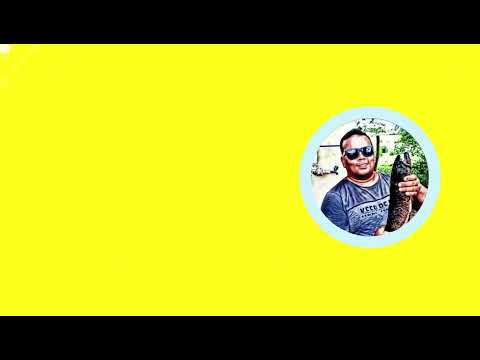 Nova Intro Oficial do canal @ronnielbraga (Agosto de 2026)