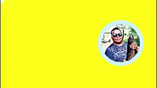 Nova Intro Oficial do canal @ronnielbraga (Agosto de 2026)