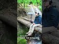 천천히 가야 보이는 것들🎵 일월산을 거침없이 가로지르는 계곡 소리
