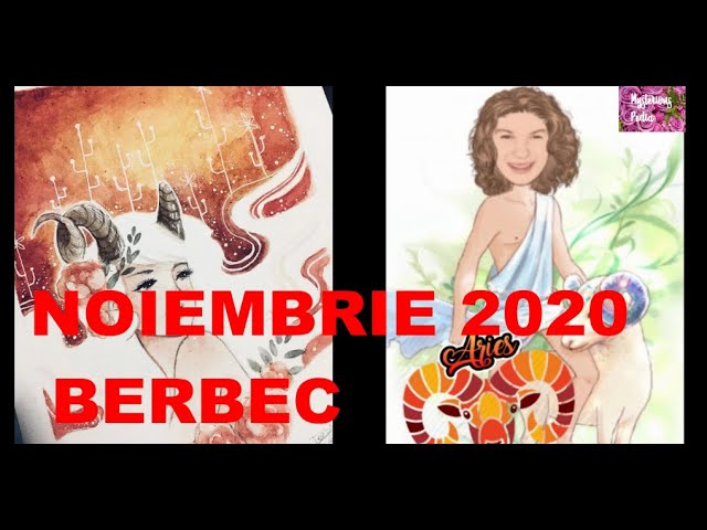 NOIEMBRIE 2020 pentru zodia BERBEC