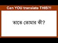 Bangla to English Translation – Don’t Mess This Up!