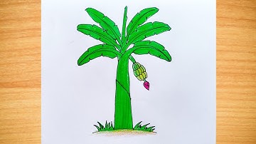 How to Draw a Banana Tree Step by Step|| Banana Tree Drawing for Beginners|| Banana Tree Drawing