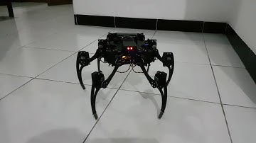 My phoenix Hexapod, Walking test and movement features.