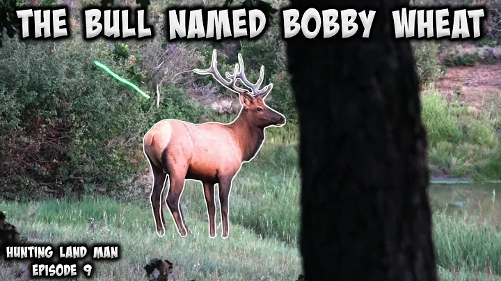 Hunting Land Man Episode 9: The Bull Named Bobby W...